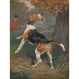 Cuthbert Bradley [1861-1943]- The Kill, Foxhound Salome,:- signed and inscribed, watercolour,
