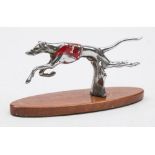 A chrome plated racing greyhound car mascot:, in red and white vest, mounted on later wooden base,