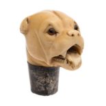 A late 19th century carved ivory dog's head cane handle:,