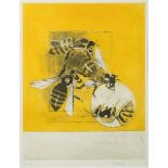 * Graham Vivian Sutherland [1903-1980]- Bees,:- etching in colours signed and numbered H.