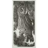 After Charles Turnicliffe - Long-Eared Owl,