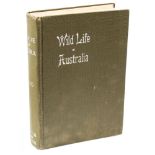 'Wildlife in Australia' inscribed to end papers 'To the glorious memory of Commander Harry Lewis