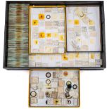 A collection of mid 20th century microscope slides:,