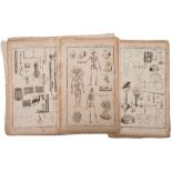 Anatomy, Surgery and Science, a collection of 19th century book plate illustrations:,