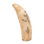 A scrimshaw decorated tooth:, incised with naive floral decoration,