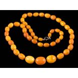 A graduated amber bead, single-string necklace: with forty-eight individually knotted,