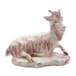 A Torquay porcelain model of a recumbent goat in 18th century Derby style: on scrollwork mound base,