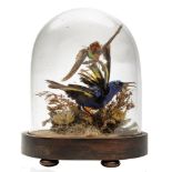 A late 19th/early 20th century taxidermy group of two humming birds under a glass dome:,