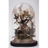 A late 19th century taxidermy group of birds under a glass dome,
