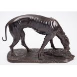 A reproduction bronzed model of a hound with hare:, on a naturalistic base. 39 cm high..