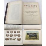 An Antique book "Modern Practical Farriery" with full size coloured plates and illustrations