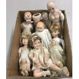 A collection of modern soft body ceramic dolls ready for hair and dressing.