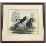 John Richardson signed acrylic painting of 2 dogs and a cat, framed & glazed.