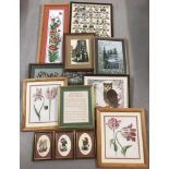 A collection of 12 assorted framed and glazed cross stitch pictures.