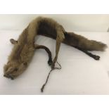 A vintage fox stole. Complete with clasp and fixings.