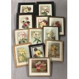 A set of 12 floral prints in a variety of frames.
