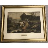 Douglas Graham Framed & Mounted print of Highland Cattle. Titled 'A Set of Sun'.