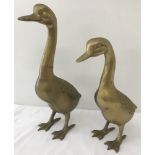 A pair of heavy brass ornamental duck figurines.