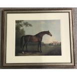 A framed and glazed print "High Flyer" a famous 18th century racehorse.