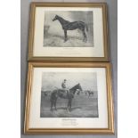 A pair of 1904 Fores of Piccadilly racehorse prints in matching gilt frames.