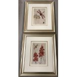 A pair of framed & glazed dragonfly prints.