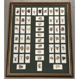 A framed and glazed collection of 50 Player's cigarette cards from the "Wild animal Heads" series.