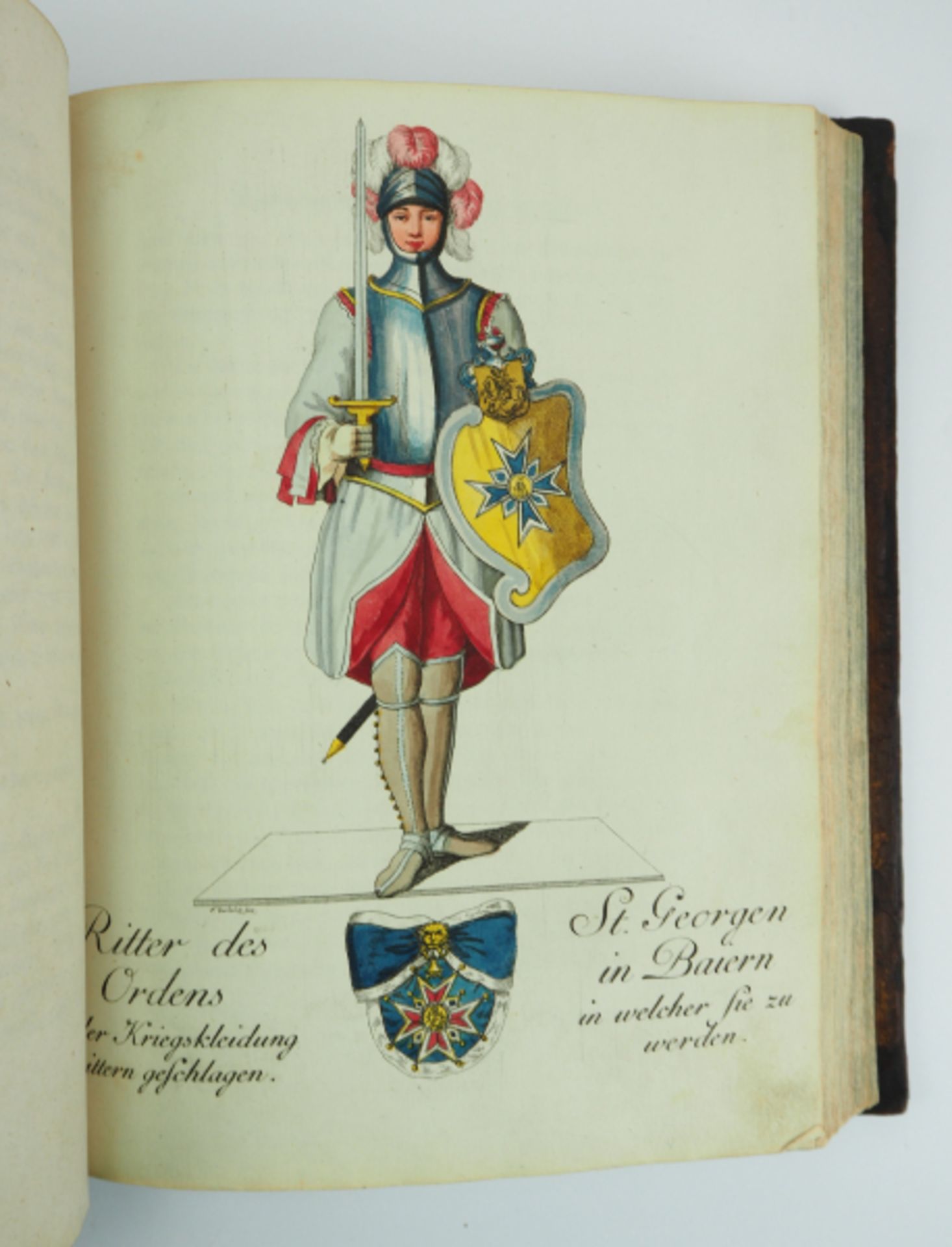 Schwan, Christian Fridrich: Abbildungen derjenigen Ritter-Orden welche eine eigene Ordenskleidung