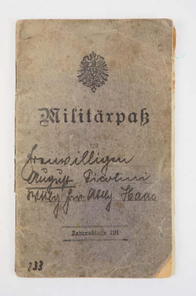 Freikorps: Militärpass eines Freiwilligen der Württ. Freiwilligen Abt. Haas.Sauber geführt, u.a.