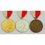 Deutsche Gesellschaft zur Rettung Schiffbrüchiger: Medaille für Rettung aus Seenot in Gold, Silber