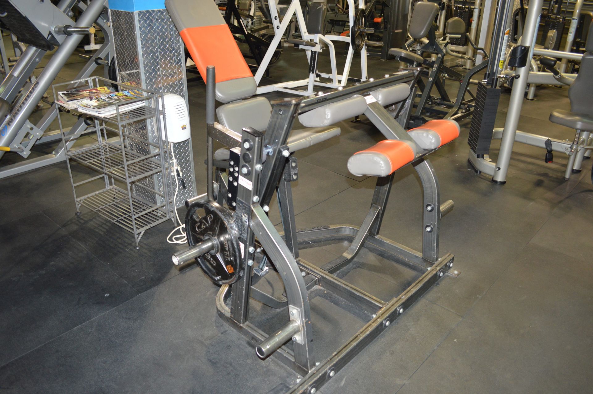 HAMMER STRENGTH CURL MACHINE