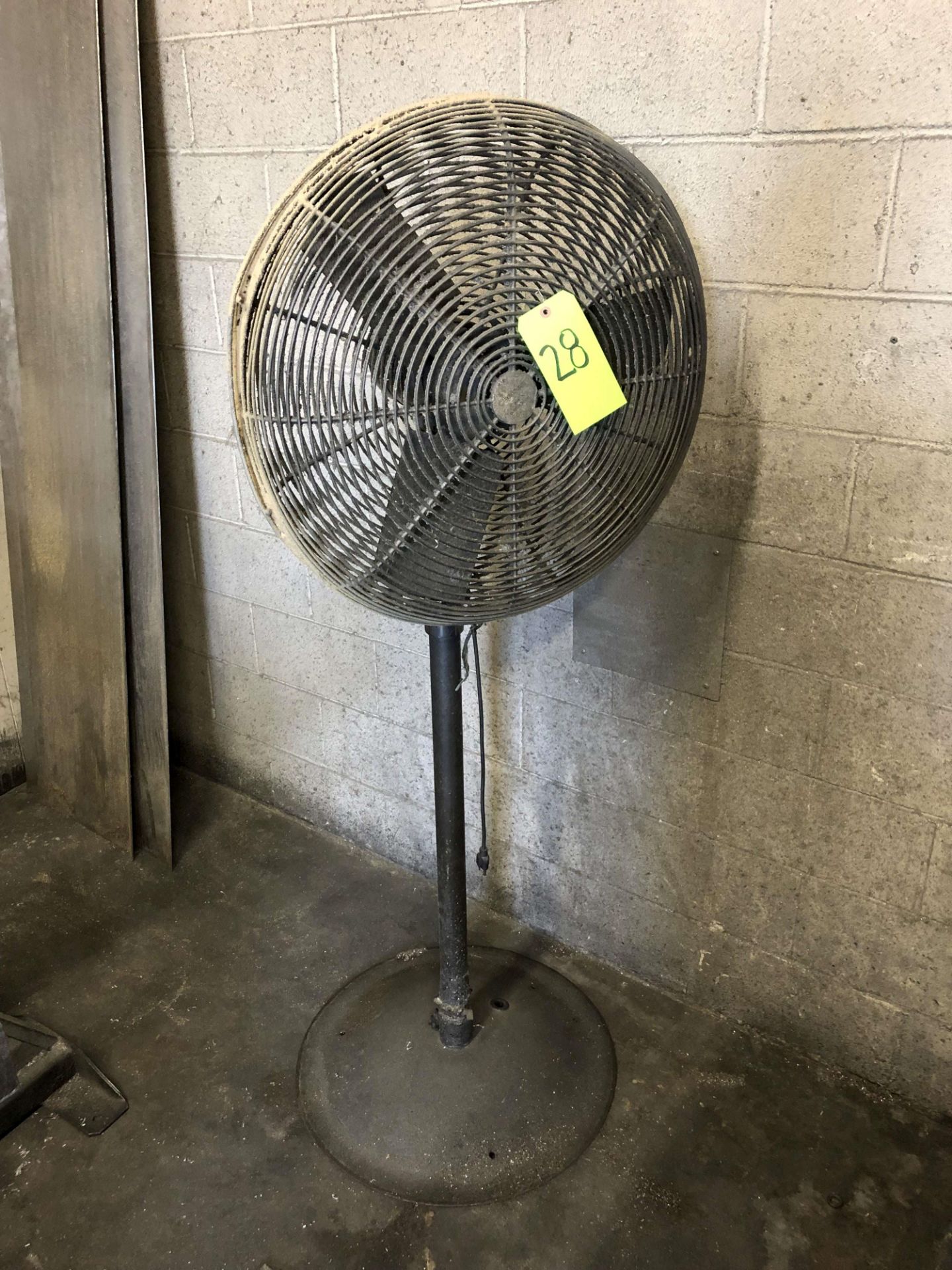 Chelsea 24" Pedestal Fan