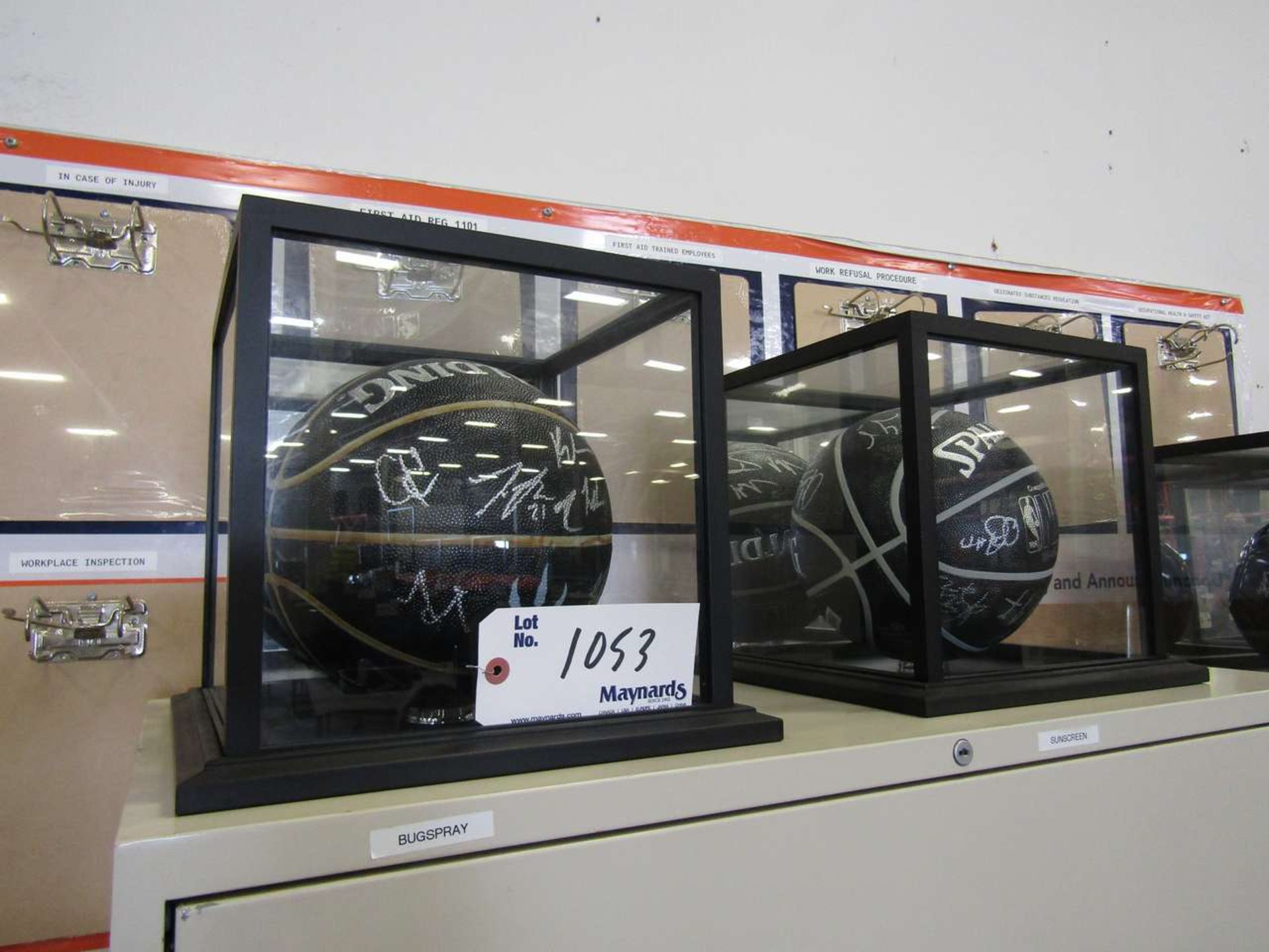 2 Signed Toronto Raptors balls with display case