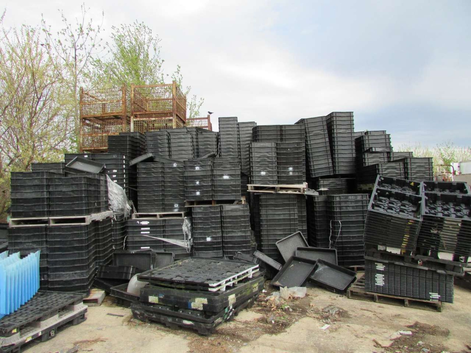 Large Qty. of Plastic Bins Plastic Pallets and Folding Bins - Image 5 of 8