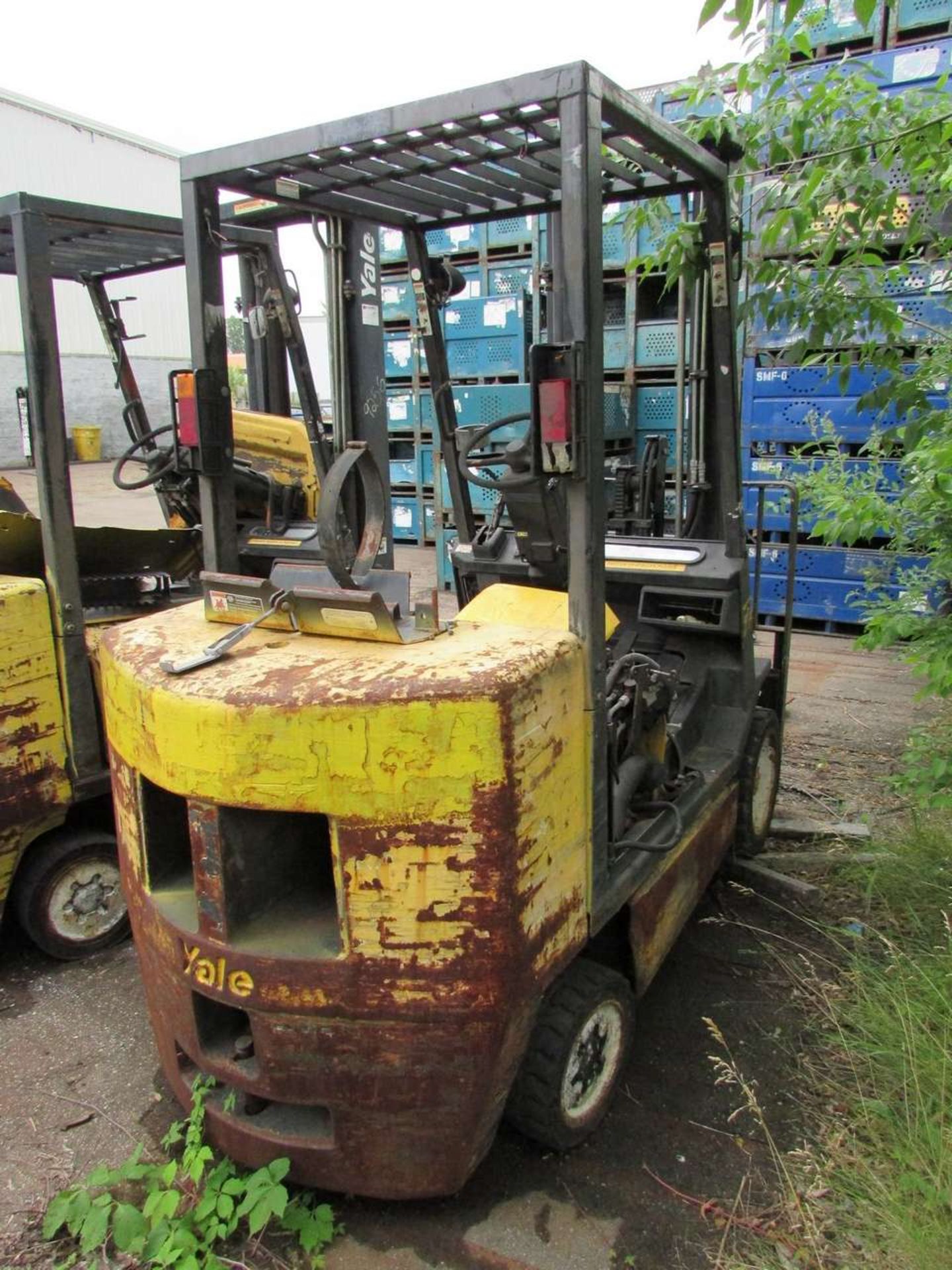 Yale GLC065TGNUAF095 LP Fork Truck - Image 4 of 5