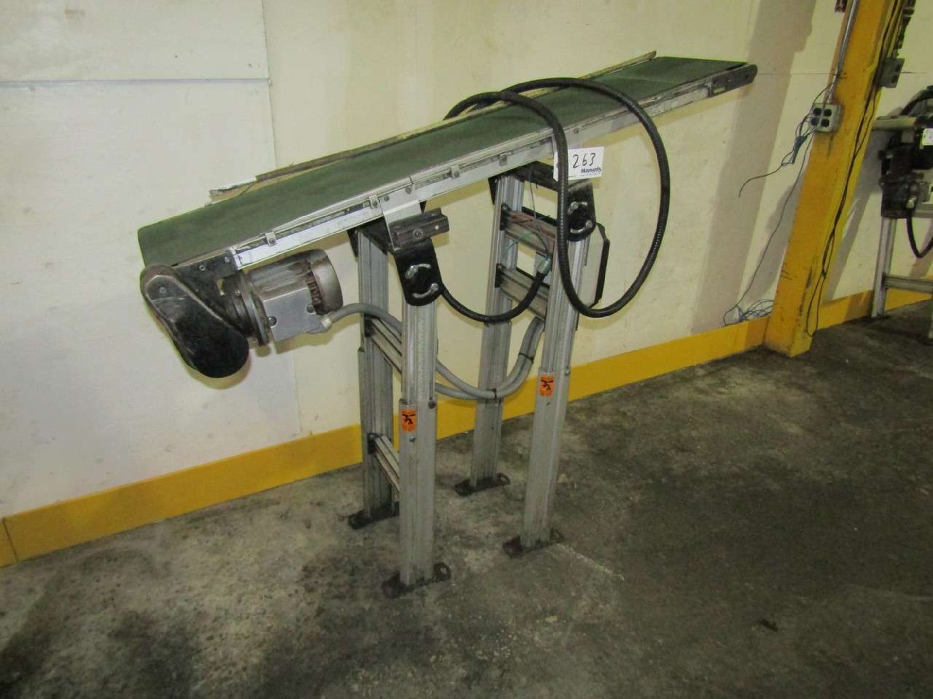 Motorized Belt Conveyor