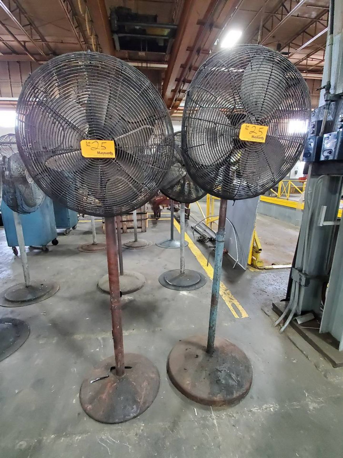 Pedestal Fans