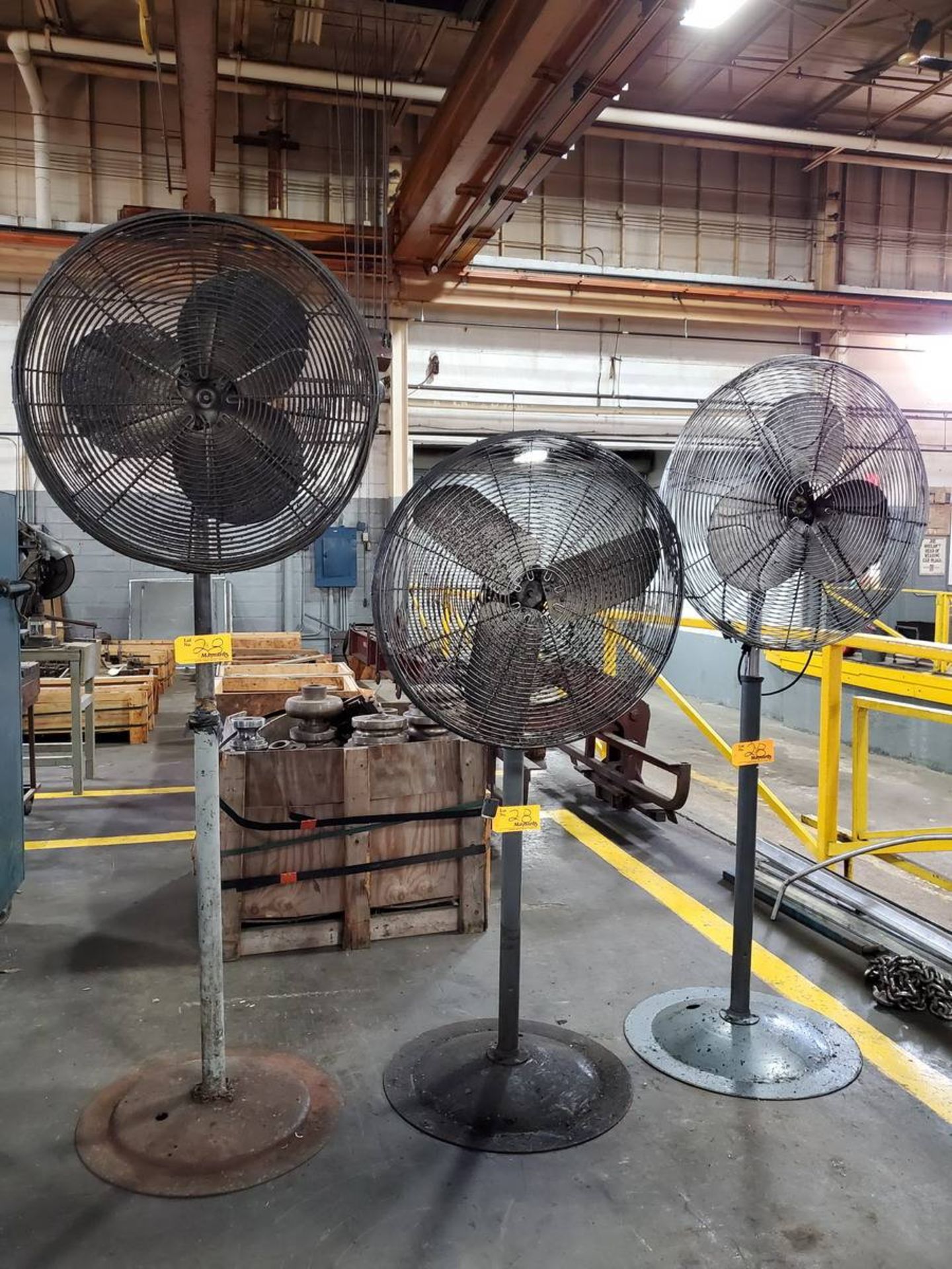 Pedestal Fans