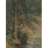 Wallan ( Nallan?) H Roberts 1886 depicting a tree by a river bank. Signed watercolour, 24cm x 32.5cm