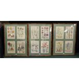 Twelve book plates depicting flowers and bulbs, contained in three walnut effect frames, 61.5cm x