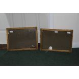 Pair of glazed gilt frames with shell and scroll decoration, 39cm x 28.5cm