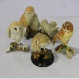 Six Country Artists models of owl, (6)