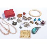 Mixed jewellery, to include brooches, bangle, turquoise and silver jewellery, necklaces, etc (qty)