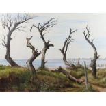 Margaret Ballardie, Chichester Harbour View, oil on canvas, 100cm X 75cm