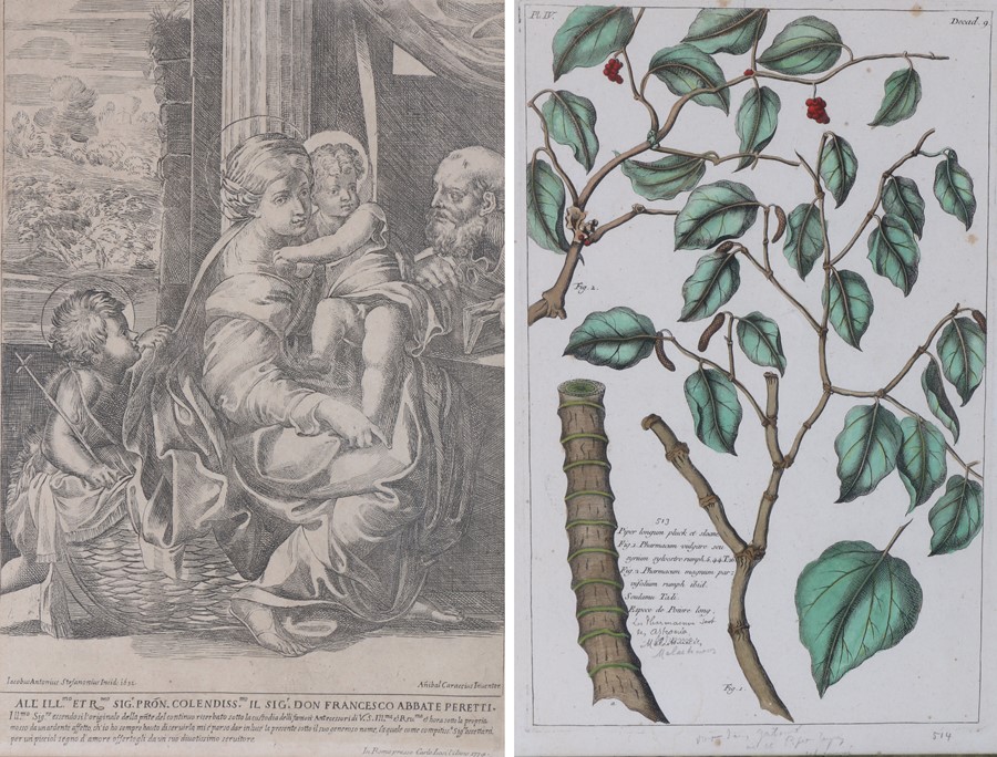 18th Century botanical print, of the parts of a Melastome, together with another print dated 1774