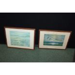 Two Peter Scott prints, ducks in flight, housed in glazed frames. the prints 25cm x 20.5cm