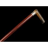 Victorian walking stick, possibly rhinoceros horn handle, the scroll engraved silver band Birmingham