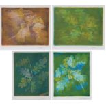 David Ballardie four prints depicting leaves, one dated 1991, all signed, one 23/26 three a/p 26.5cm