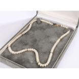 Pearl and 9 carat gold clasp necklace