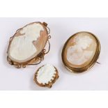 Three cameo's, to include two brooches and another, (3)