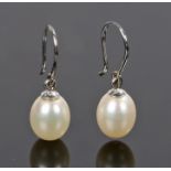 Pair of 18 carat white gold and pearl earrings, each with a pearl drop, the pearls 7mm diameter